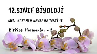 15 12 SINIF BÄ°YOLOJÄ° MEB KAZANIM KAVRAMA TESTÄ° Bitkisel Hormonlar  2 [upl. by Eimmac]