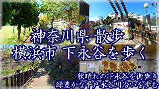 4K  神奈川県 散歩 横浜市港南区 下永谷を歩く。  秋の青空の下、緑豊かな風景と川沿いの散歩 [upl. by Stannfield969]