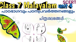 ചിത്രശലഭങ്ങൾ class 7 Malayalam unit 4 പാഠഭാഗവും പഠനപ്രവർത്തനങ്ങളും newtextbook 202425 scert [upl. by Nataniel914]