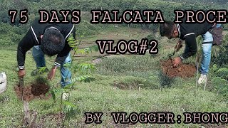 Vlog 5 Tour to bukid ❤️ How to plant a falcata trees [upl. by Atirb]