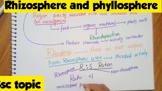 Rhizosphere and phyllosphere in Hindi and UrdumicrobiologyBacteriology botany [upl. by Junia708]