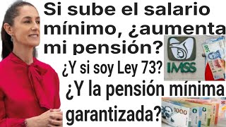 🔥SUBE SALARIO EN 2025 SUBE MI PENSIÓN IMSS PENSIONADOS JUBILADOS PAGOS 1 FEBRERO [upl. by Gaudette]