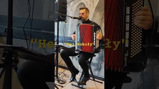 Hej Sokoły akordeon accordionplayer biesiada folkmusic short bossmusic muzyka music [upl. by Atikehs]