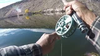 An Unexpected Catch at Pleasant Valley Reservoir Eastern Sierra [upl. by Lednor]