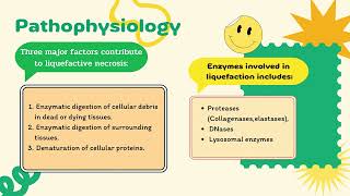Coagulative vs Liquefactive necrosis [upl. by Aianat]
