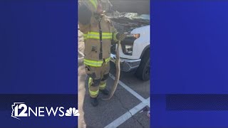 Boa constrictor slithers inside truck before extracted by Scottsdale firefighters [upl. by Erikson1]