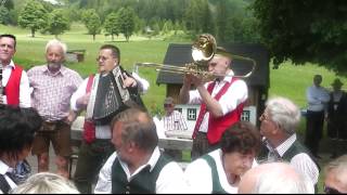 Wildbach Trio  Was steht da drobn am Almaroan  ORF Gipfeltreffen Ramsau 2013 [upl. by Nerot]