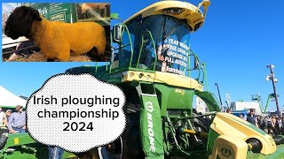 Irish Ploughing championship 2024 walk about [upl. by Sutelc]