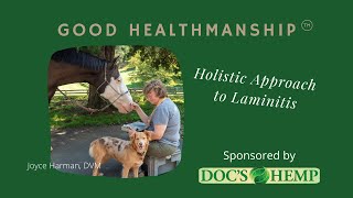 A Holistic Approach to Equine Laminitis [upl. by Pitarys]