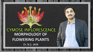 Cymose Inflorescence  Morphology of Flowering Plants [upl. by Nesnah]