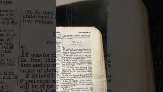 Galatians 5113 jesus holyspirit gospel god bible religion christian shorts faith hope [upl. by Nyrahtak]