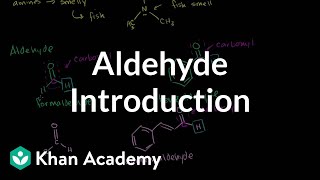 Aldehyde introduction  Aldehydes and ketones  Organic chemistry  Khan Academy [upl. by Kcirdneh]