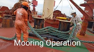 mooring operation docking procedure [upl. by Ron]