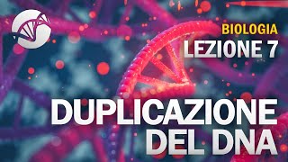 BIOLOGIA  Lezione 7  Duplicazione del DNA [upl. by Adna]