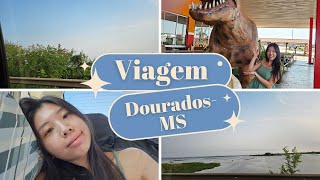 VIAJEI PARA DOURADOSMS  VLOGÃO DA LELÊ  Hi Lelê [upl. by Gusta]