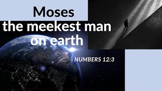 Moses the meekest man on earth  Numbers 123 [upl. by Etnovert403]