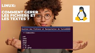 comment utiliser les commandes cat less more head  tail grep et les redirections sur Linux [upl. by Matthaeus]