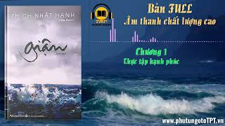 Giận  Thích Nhất Hạnh Bản đầy đủ FULL [upl. by Adnyc676]