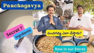 పంచగవ్య ఎలా చేస్తారు  Making of Panchagavya  పంచగవ్య [upl. by Rois]