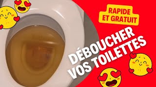 Comment déboucher les toilettes WC en 2 minutes [upl. by Eylhsa]