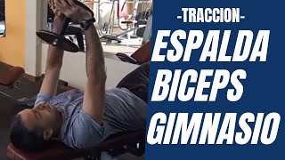 Ejercicios de Espalda y Bíceps en el Gimnasio [upl. by Allisan]