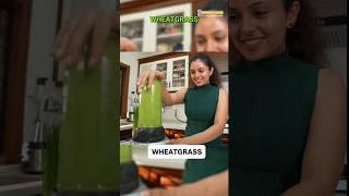 Health Benefits of Wheatgrass shivangidesaireels superfood weightlosstips [upl. by Roselani]