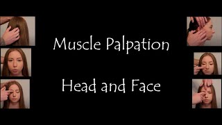 Muscle Palpation  Head and Face Masseter Temporalis Buccinator Orbicularis Oris Mentalis ASMR [upl. by Saiasi]