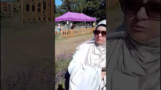 Mayfield Lavender Farm Banstead London4 [upl. by Carberry]