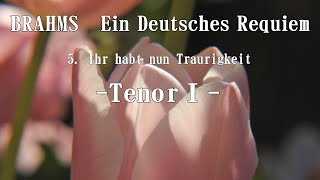 ブラームス 「ドイツ・レクイエム」 ５．Ihr habt nun Traurigkeit テノールⅠ BRAHMS Ein Deutsches Requiem TenorⅠ [upl. by Aineles61]