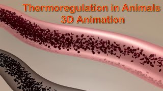 Thermoregulation in Animals  FScII Biology  Chap 15  Ihtsham Liaqat [upl. by Tawney]