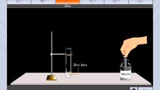 Action with Ammonium Hydroxide [upl. by Shotton]