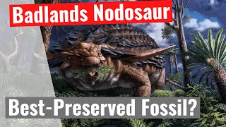 Badlands Nodosaur  Is This The Best Preserved Fossil Ever Discovered [upl. by Colline]