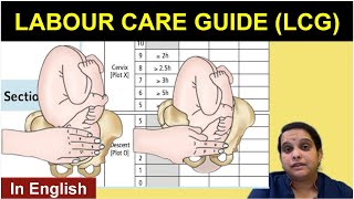 WHO Labour Care Guide  LCG Guidelines  English  Nursing Lecture [upl. by Nylasor]