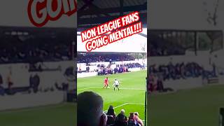 Non League Fans Going Mental [upl. by Choong266]