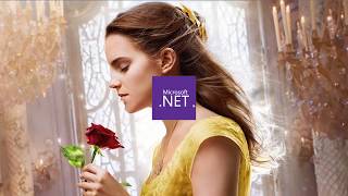 حل مشكلة عدم تثبيت Net Framework آخر اصدار 47 وكل الاصدارات [upl. by Netsuj]