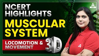 Locomotion and Movement Class 11 One Shot  Muscular System in 3D  NEET 2024  Garima Goel [upl. by Maze]