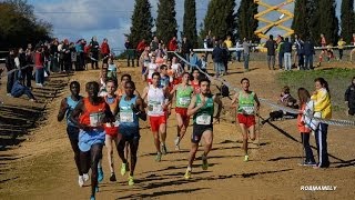 CROSS INTERNACIONAL DE ITALICA 2014 [upl. by Ailaro]