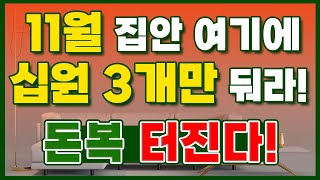 11월 집안 여기에 십원 3개만 둬라 나의 띠에 맞는 음양오행을 알고 배치하면 큰 돈 들어온다 돈복 터지는 생활풍수 [upl. by Afatsom]