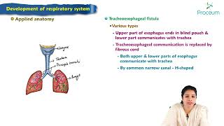 Development of respiratory system  Embryology Lecture [upl. by Concordia414]