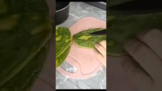 Comida Económica chuletas en salsa tatemada con nopales parati fypシ゚ viral food [upl. by Enetsirk197]