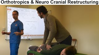 Role of Neuro Cranial Restructuring NCR in Orthotropics Treatment by Dr Mike Mew [upl. by Aniretac206]