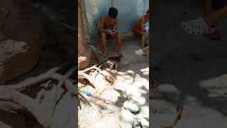 unggoy na nakakaaliw😅funnyshortvideo [upl. by Aizirk722]