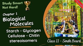 Starch Glycogen Cellulose Chitin Stereoisomers  Chapter 1  Sindh Board  Biology  Class 11 [upl. by Roscoe]