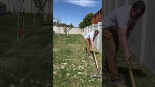 Leveling my lawn using sand pt 4 lawnlife diy lawnlove lawn lawncare [upl. by Kreindler198]