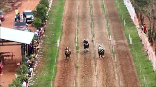 1 PAREO  Pomberi vs Chiquitita vs Galega  Jockey Club Ybypyta  21092024 [upl. by Cirda]