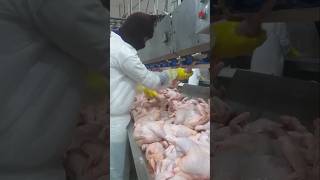 The Disturbing Process Behind KFCs Chicken Rashidshorts [upl. by Annovy953]