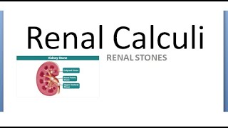 Surgery 942 a Renal Kidney Stones Pain Calculi Type Cause Complication Symptoms Randall [upl. by Edlitam]