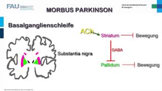 Neuropathologie ─ Entstehung von Morbus Parkinson [upl. by Stephie267]