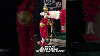 Jaffar e Tayyar Society  Juloos e Aza  72 Taboot  History of Azadari  Sada e Azeem  Majlis [upl. by Nylarat170]