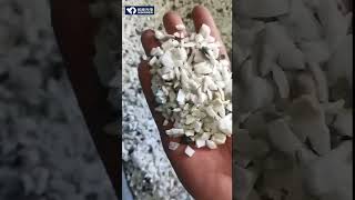 Pegmatite quartz separating experiment with AI sorting machine mineralsorting oresorting [upl. by Alrats]